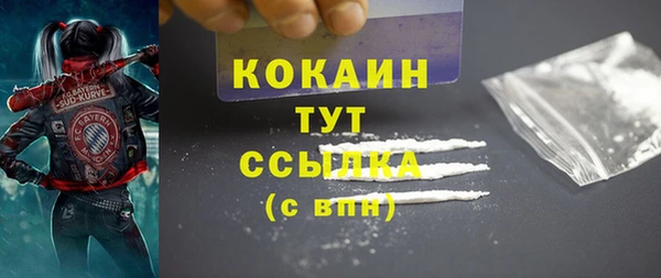 мяу мяу мука Рославль