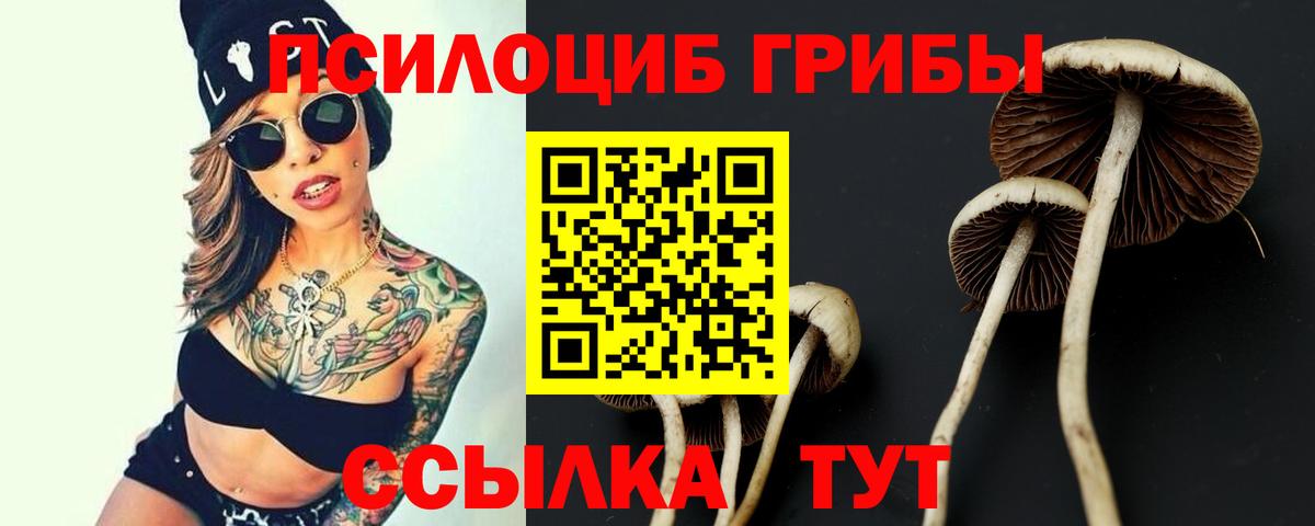 Псилоцибиновые грибы Psilocybine cubensis Зеленодольск